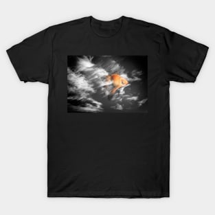 Golden fish in the sky T-Shirt